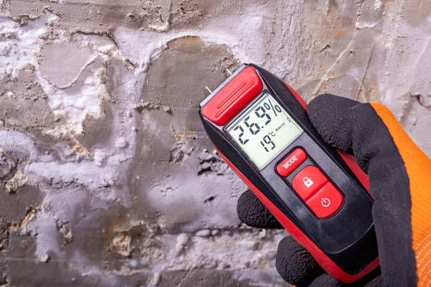 Best Fast Mold Removal  in Humansville, MO