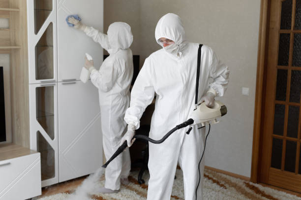 Best Toxic Mold Removal  in Humansville, MO